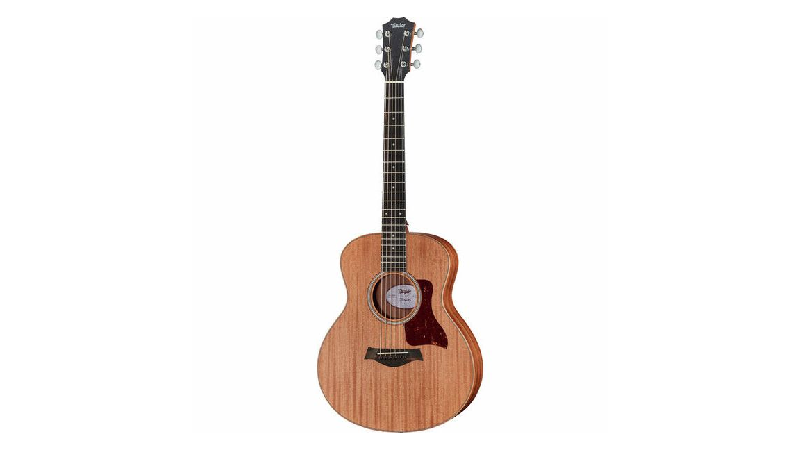4. Taylor GS Mini